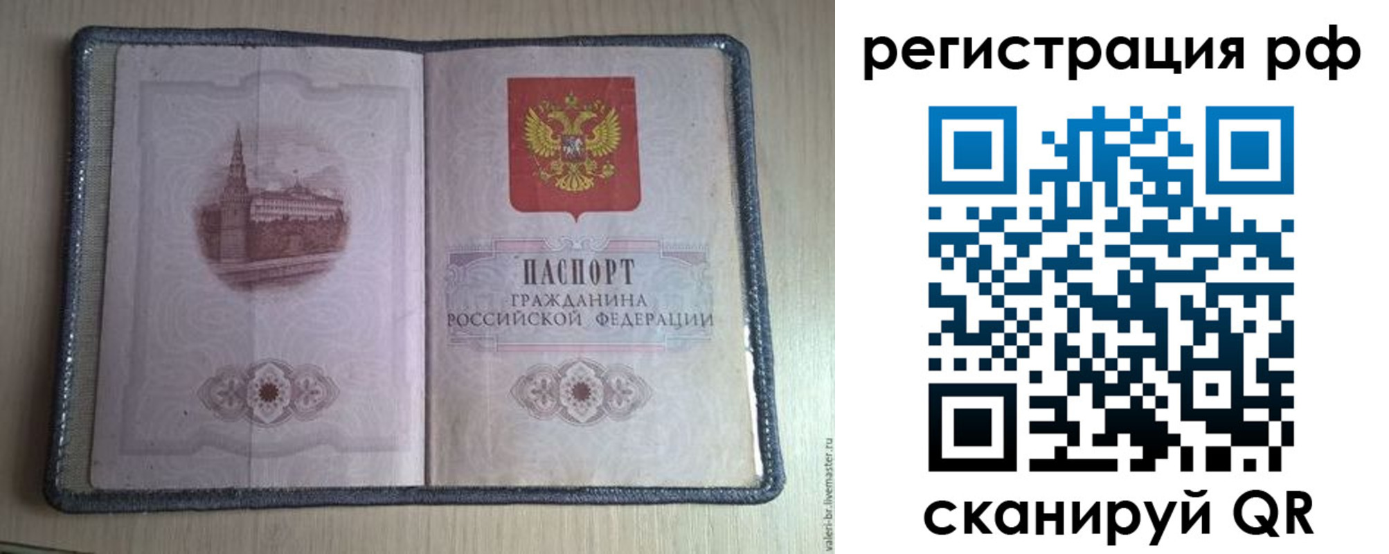 прописка поиск в Зеленоградске